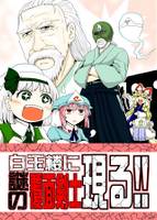 白玉楼に謎の覆面剣士現る！！