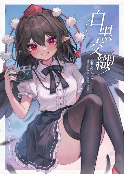 文件:白黑交織封面.jpg