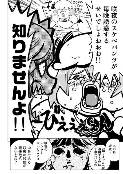 文件:咲夜の下着って何キロカロリー？预览图6.jpg