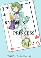 KNIGHTS OR PRINCESS