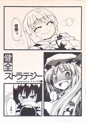 健全ストラテジー封面.jpg