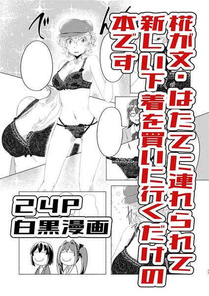 文件:椛inランジェリーショップ预览图3.jpg