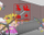 猛兰落泪封面.png