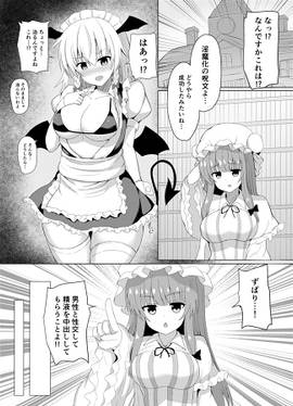 パチュリーの実験でサキュバスになった咲夜さん预览图2.jpg