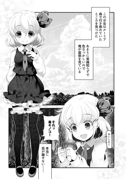 文件:人喰い妖怪を拾って性的に食べたり食べられちゃったりする日常 ルーミア総集編预览图1.jpg