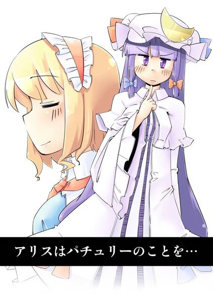 文件:アリスはパチュリーのことを…封面.jpg