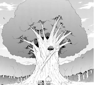 死而复生的水楢树（三月精S24话2）.jpg