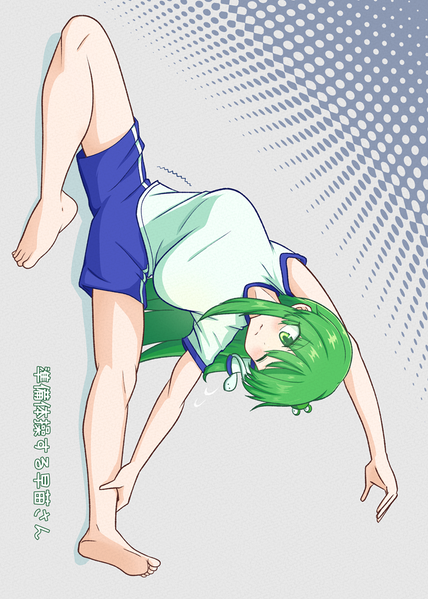 文件:コチヤコントン预览图5.png