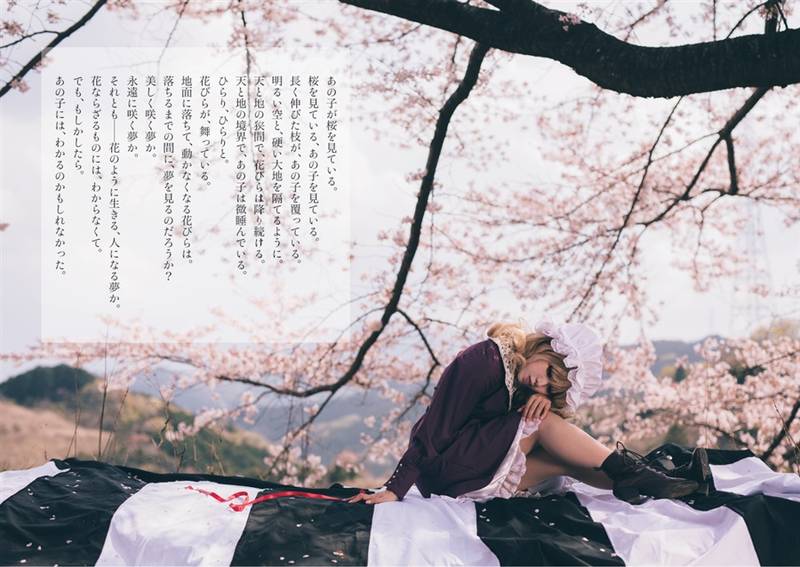 文件:卯酉幽明境界预览图1.jpg