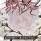 思い出を壊そう、曇天の桜の下で君と封面.jpg