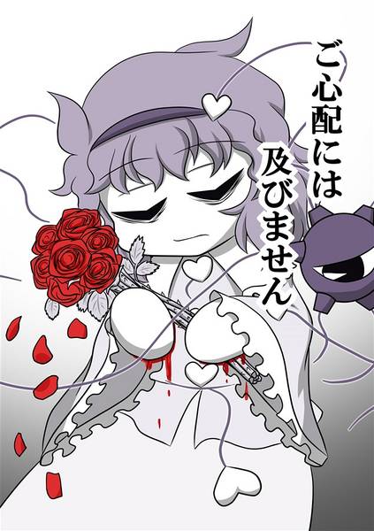 文件:ご心配には及びません封面.jpg
