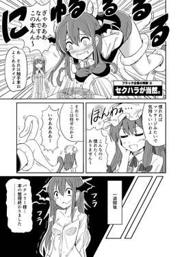 ブラックな紅魔館に勤めてますが、今日も一日がんばるぞい！预览图4.jpg