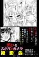 2025年5月25日 (日) 17:31版本的缩略图