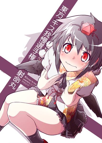 文件:東方キス我慢選手権 射命丸封面.jpg