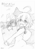 東方コピー本Lv.11~the legend of leaf~