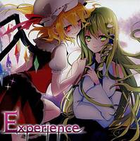 Experience