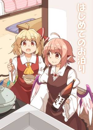はじめてのお泊り封面.jpg