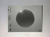 日棲
