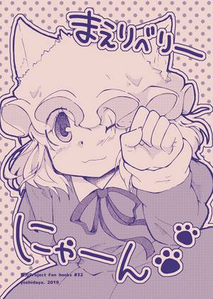 まえりべりーにゃー封面.jpg