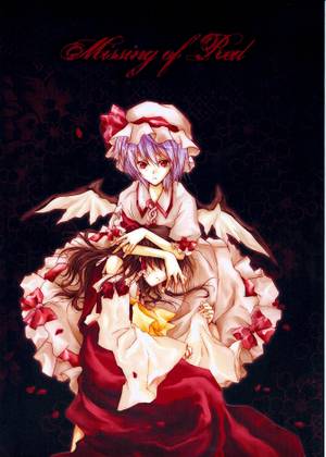 Missing of Red封面.jpg
