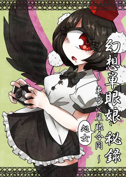 文件:幻想単眼娘 秘録 ～ 東方単眼処女合同 ～封面.jpg