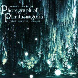 Photograph of Phantasmagoria封面.jpg