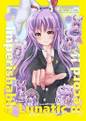 Imperishable Lunatic Record！！　東方永夜抄20周年記念鈴仙・優曇華院・イナバ合同誌 封面图片