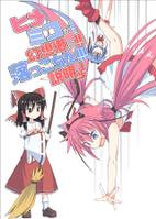 ヒメミコが!幻想郷に!!落っこちた!!!説明ッ!