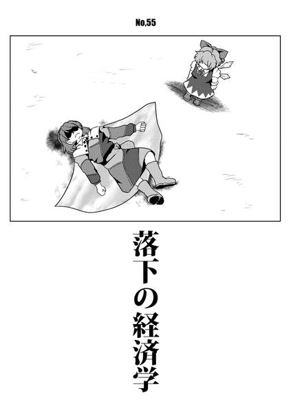 文件:落下の経済学封面.jpg