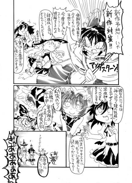 文件:絶対にカスらない新作予想 東方天空璋編预览图3.jpg