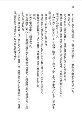 ひいかわ～ひゅどらいきたえしかわのみつるぎ～(上)预览图4.jpg
