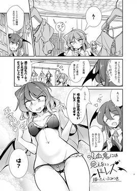 紅魔館は今日もパーティです预览图1.jpg