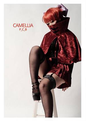 CAMELLIA（P＿C＿B）封面.jpg