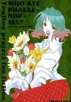 WHO ATE PHALAENOPSIS？