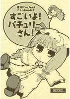 すごいよ!パチュリーさん!