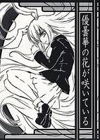 優曇華の花が咲いている