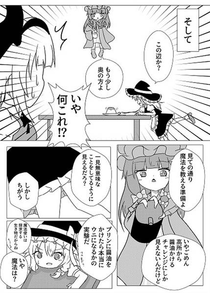 文件:半人半霊の魔法使い预览图4.jpg
