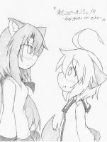 東方コピー本!!Lv.19 ~loup-gaou an echo