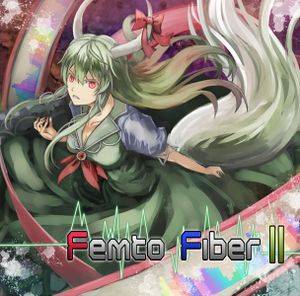 Femto Fiber II封面.jpg