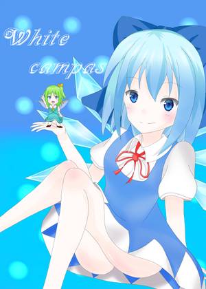 White campas封面.jpg