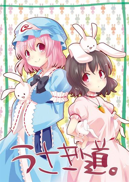 文件:うさぎ道。封面.jpg