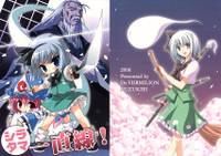 シラタマ一直線