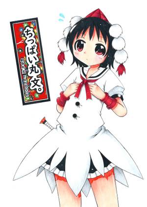 ちっぱい丸 文。封面.jpg