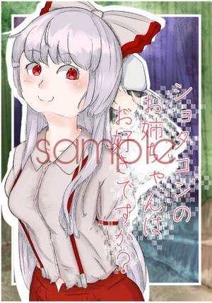 ショタコンのお姉ちゃんはお好きですか？封面.jpg