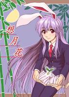 想月花