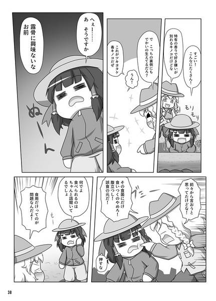 文件:魔理沙と学ぶ東方キノコ観察入門预览图6.jpg