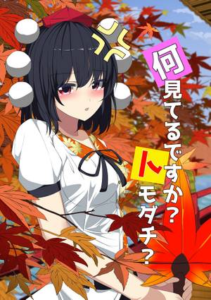 何見てるですか？トモダチ？封面.jpg