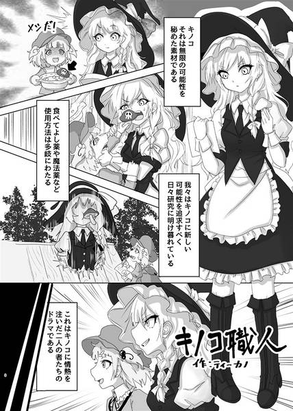 文件:MARISA预览图3.jpg