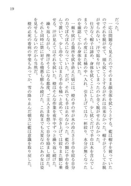 文件:橙と橙预览图13.jpg