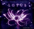 LOTUS -ロータス- 封面图片